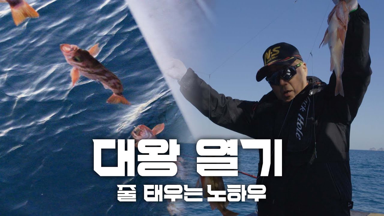 대왕 열기! 쿨러 채우는 노하우는 따로 있다!