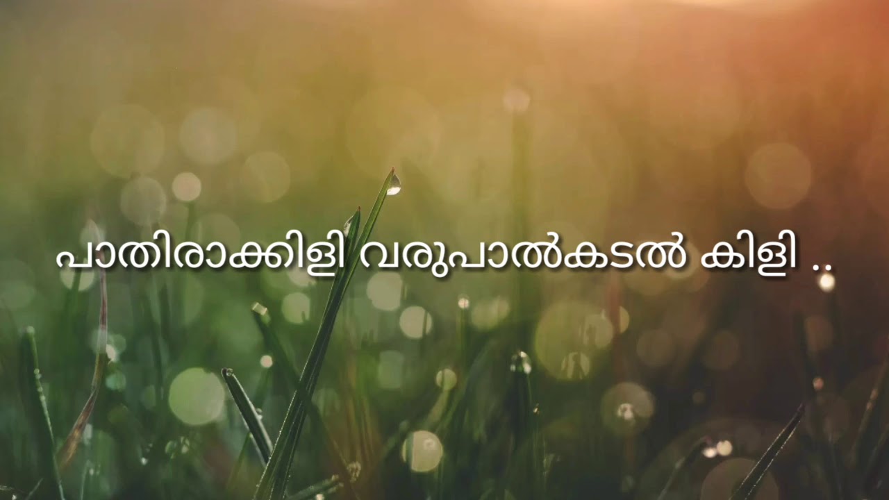 Pathiraakkili varu palkadal kili with lyrics ,kizhakkan pathrose