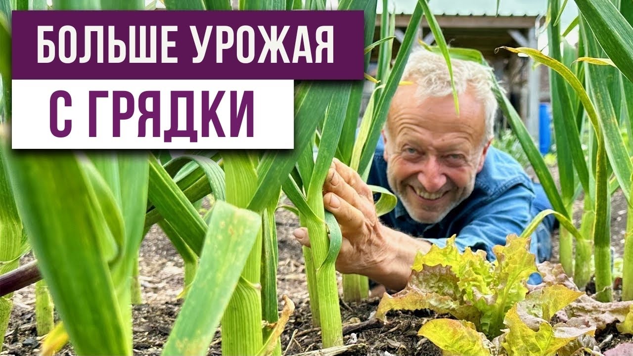 Как получить больше урожая с одной грядки?