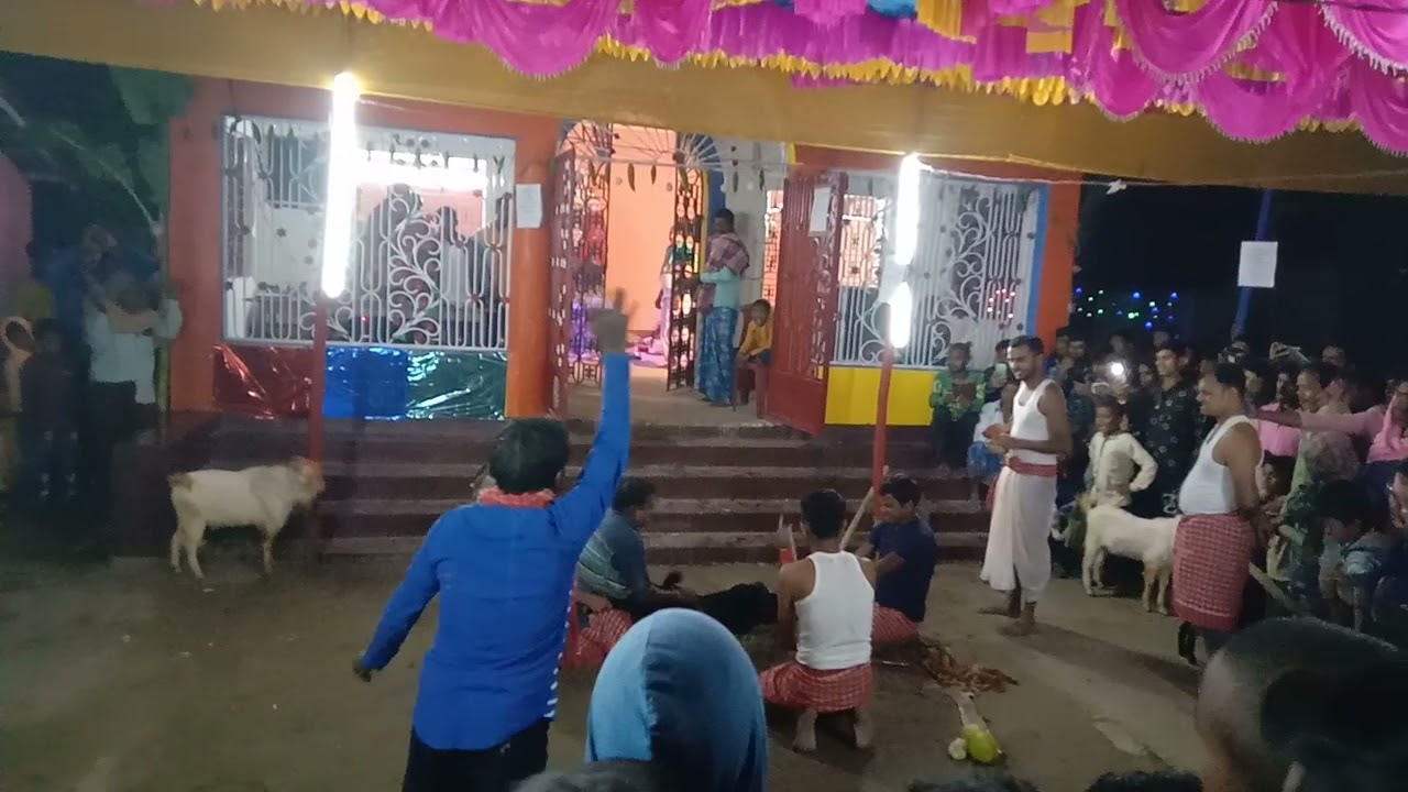 jhaitontola kali puja fast boli 4/11/2021