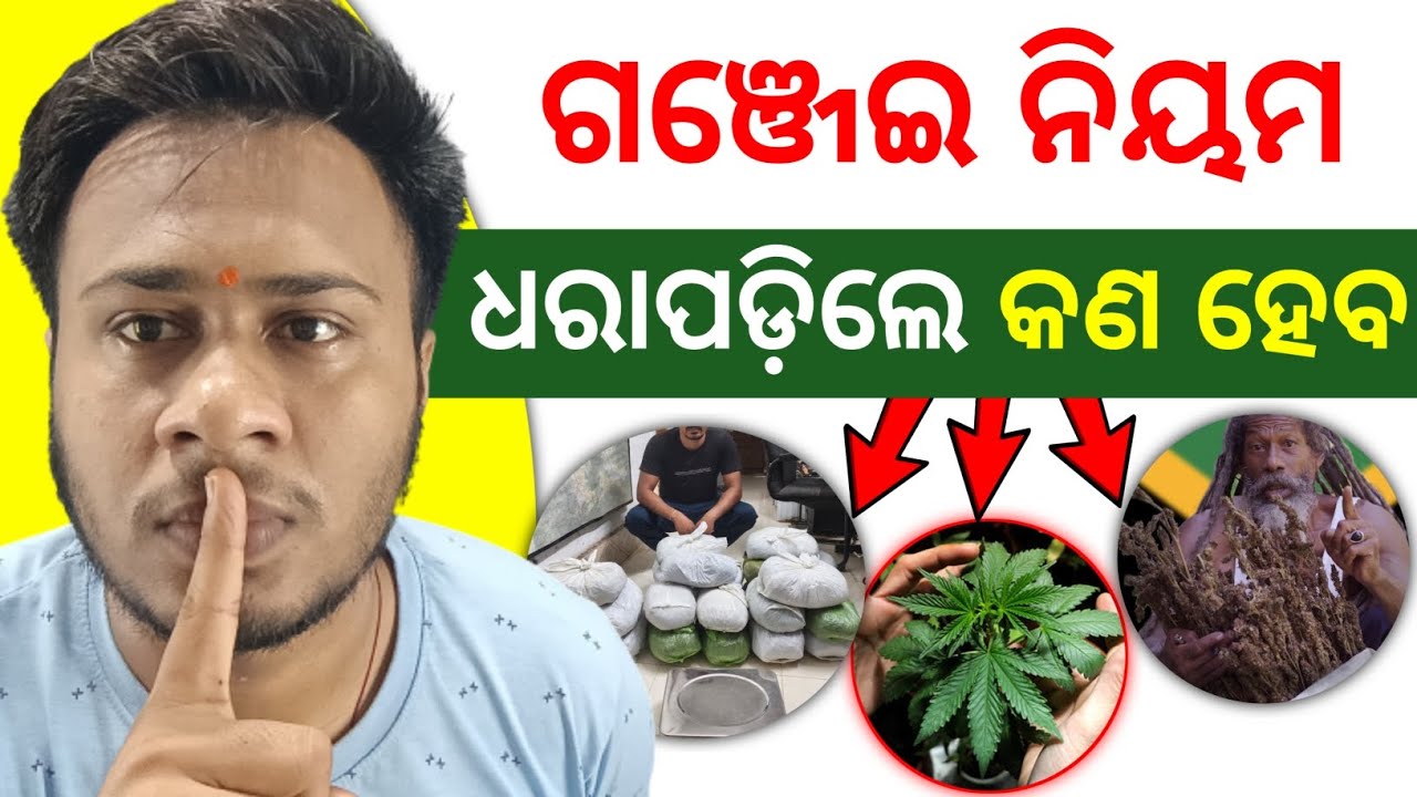 ଓଡ଼ିଶା ସରକାରଙ୍କ ଗଞ୍ଜେଇ ନିୟମ | NDPS Act 1985  | Legal Awareness Video 