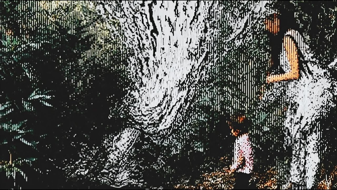 Echoes of Cabrils &mdash; A Sonic Descent Through the Living Forest