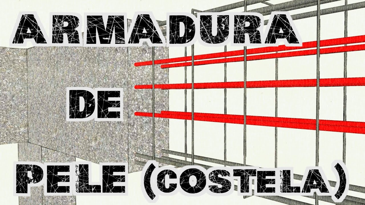 Armadura de pele (costela)