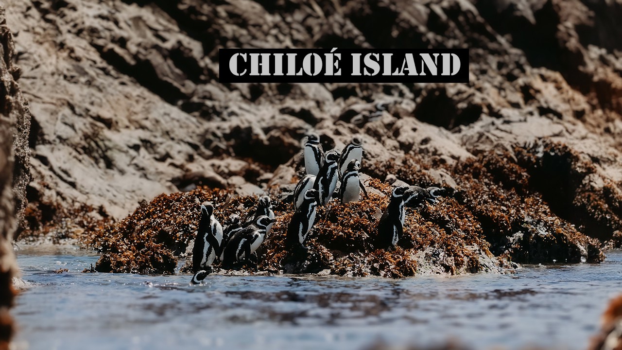 Nature's paradise - Chiloé island, Chile