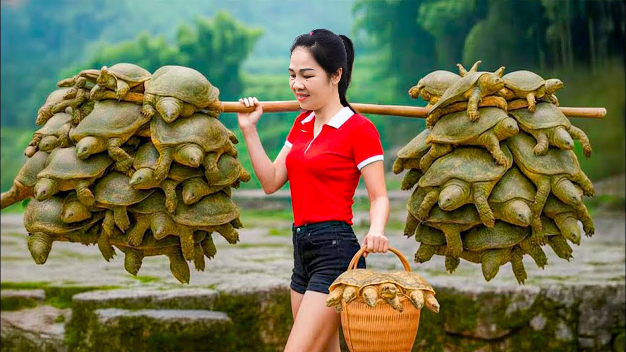 The Slowest Walking Animals in the World - Harvesting Stream Softshell Turtles & Go to Market Sell