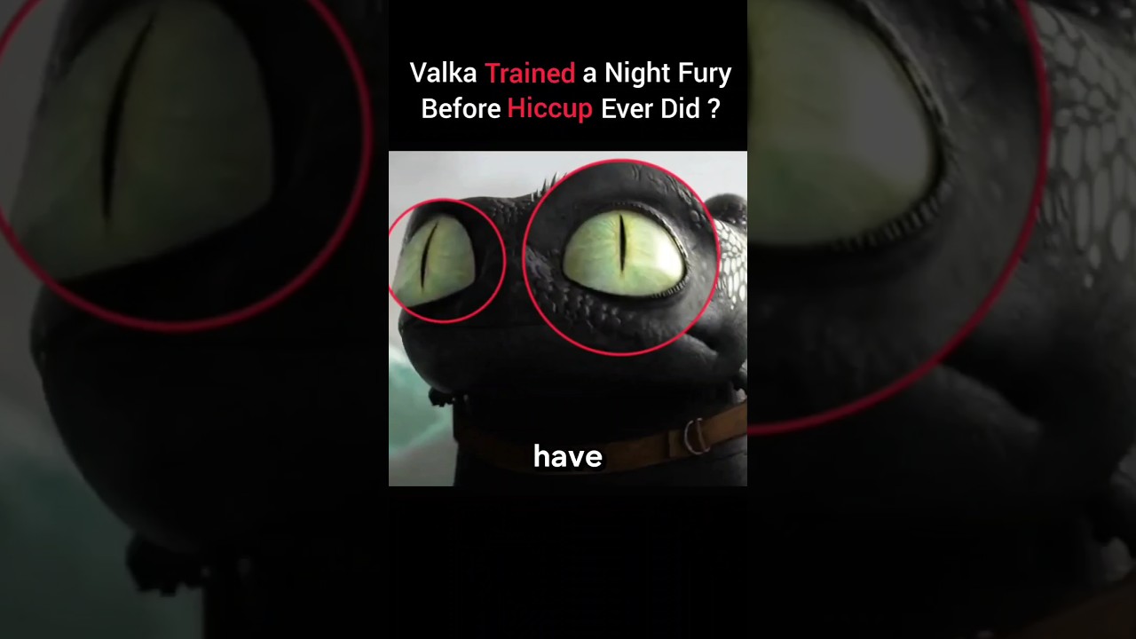 Hiccup&rsquo;s Mom Is Hiding Another Night Fury in how to train your dragon ?