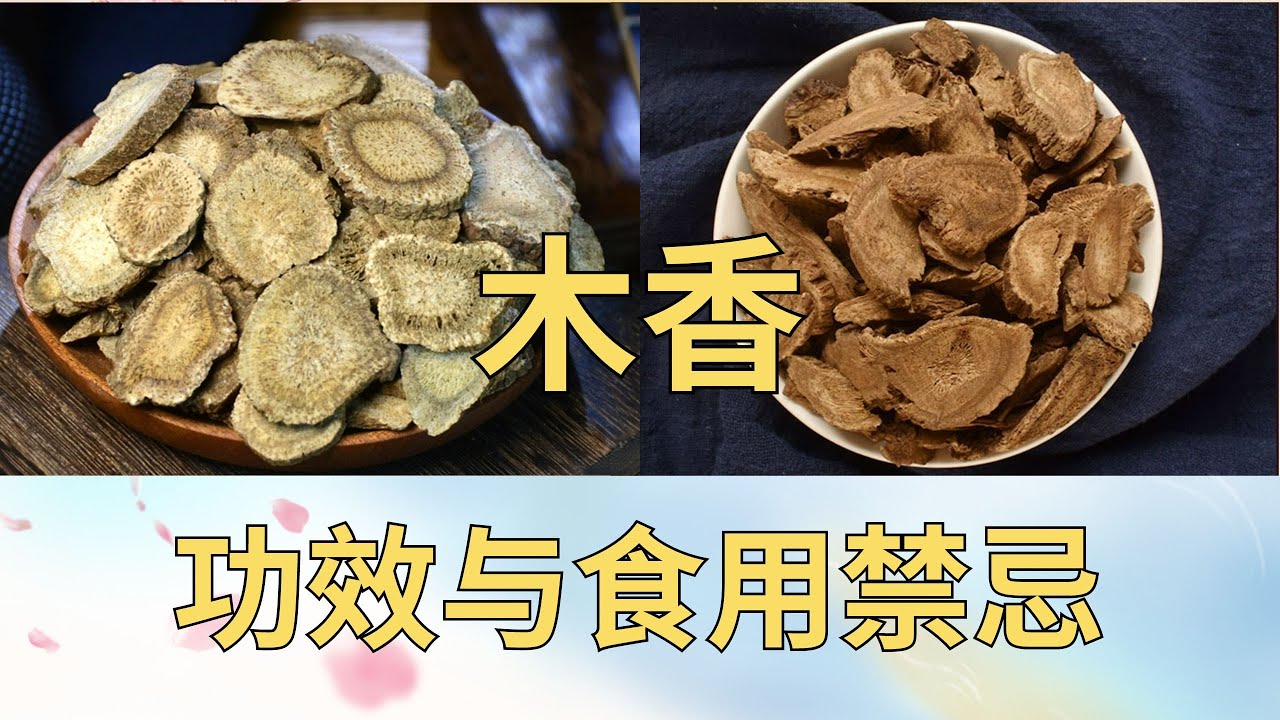 木香的功效与作用，木香的食用禁忌#木香#草药#中药 #疏理肝气 #健脾胃 #行气止痛
