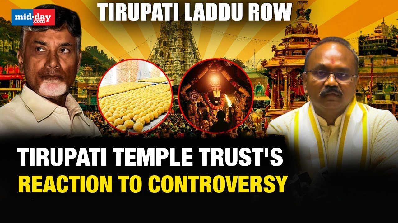 Tirupati Laddoo Controversy: TTD explains the process of identifying ‘impure laddoos’