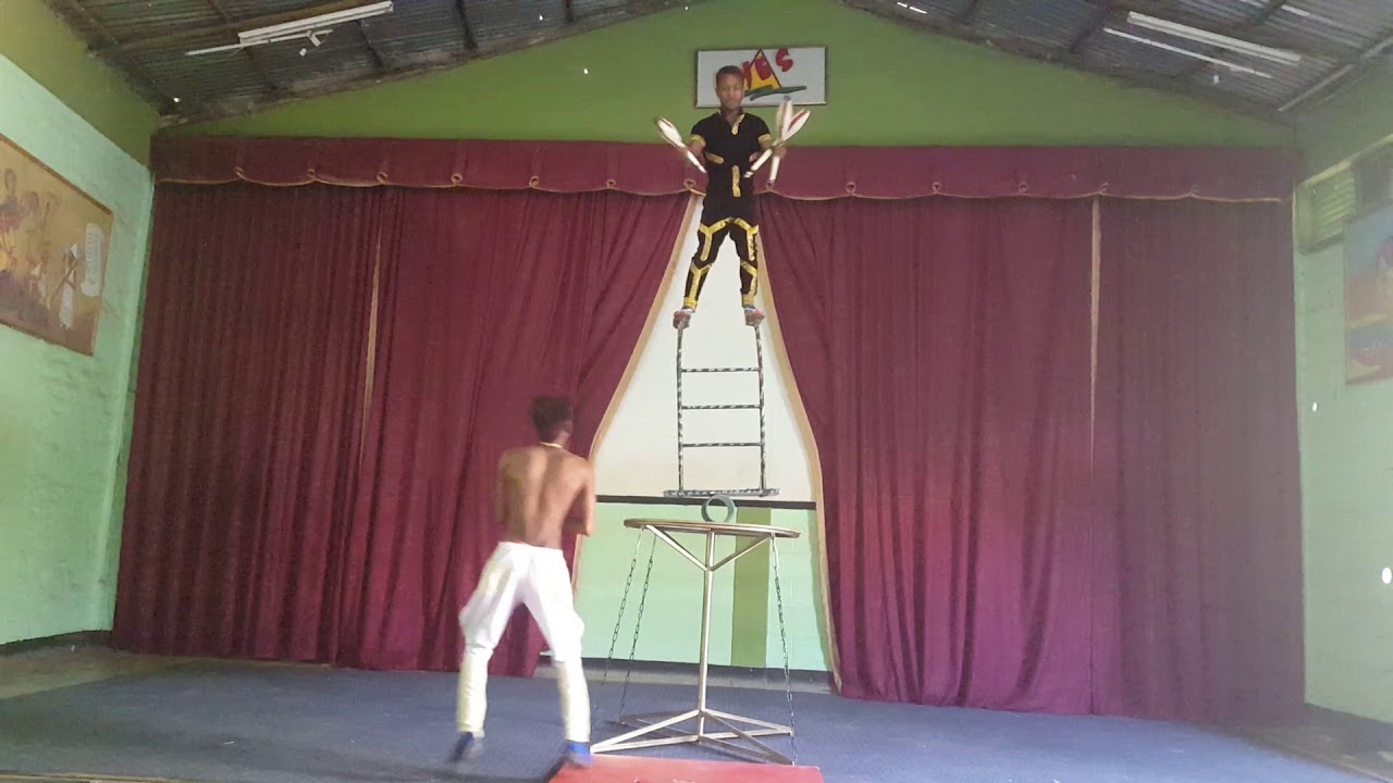 Dany rolla bolla act