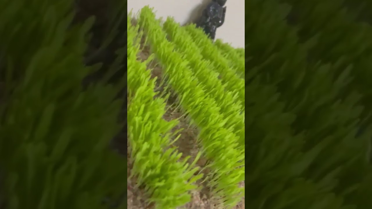 Golu garden idea #goluideas #shortsvideo #youtubeshorts #goludolls #garden #grass #perambur #like