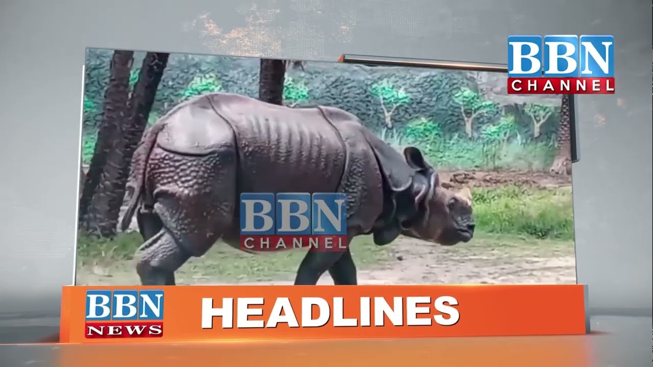NEWS HEADLINES | 20th September 2026 | BBN NEWS
