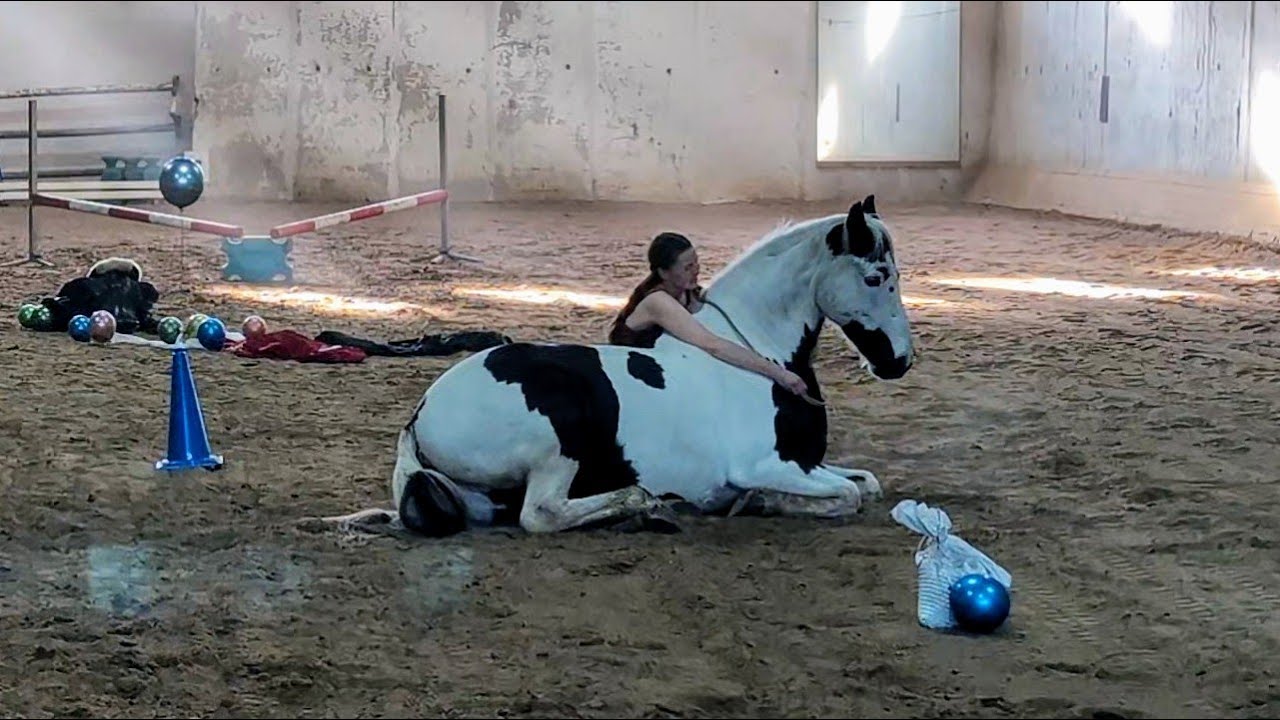 Bewerbung Equitana Showcup der Uelzener :)
