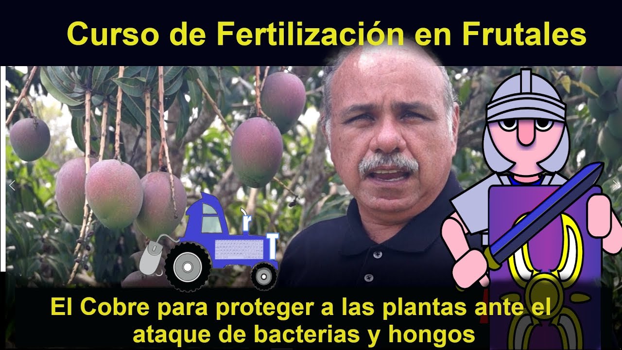 El cobre para defender a las plantas del ataque de hongos y bacterias. Curso Fertilización Frutales