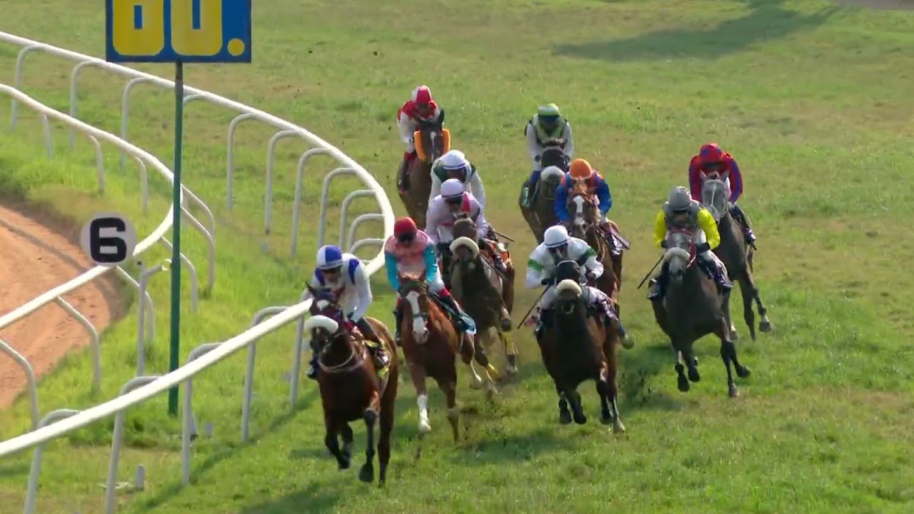 SICYON : THE MAJ.C.NEWTON-DAVIS MEMORIAL TROPHY (162)