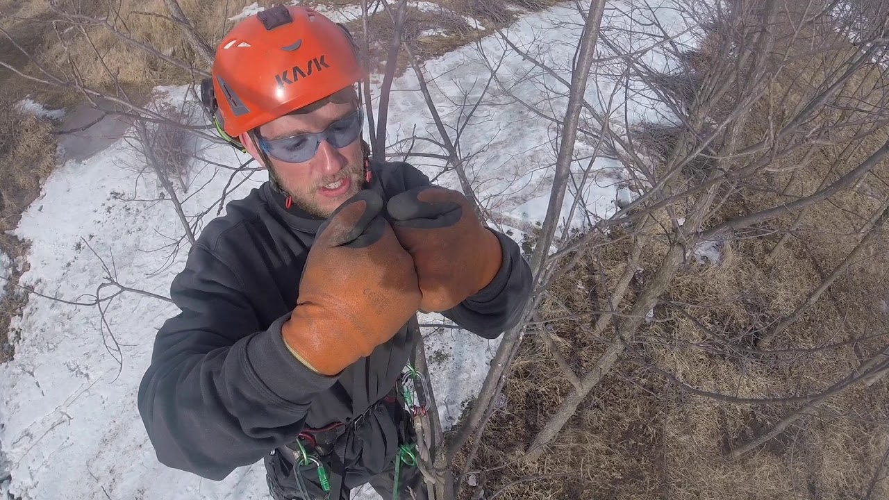 Structure Pruning 101