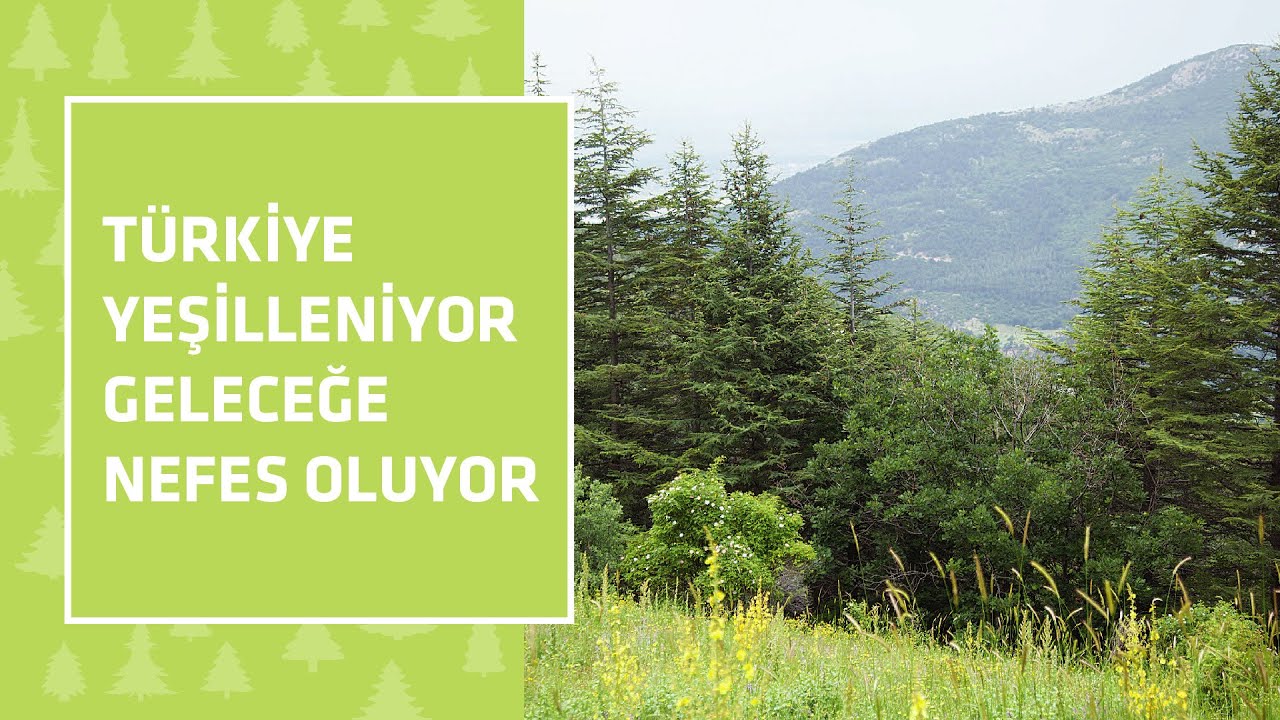 Türkiye yeşilleniyor, Geleceğe Nefes oluyor.  İşte bazı illerin geçmişten günümüze değişimleri…