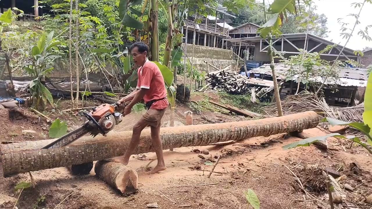 Pembelahan bahan lapak  di larangan kaliwungu