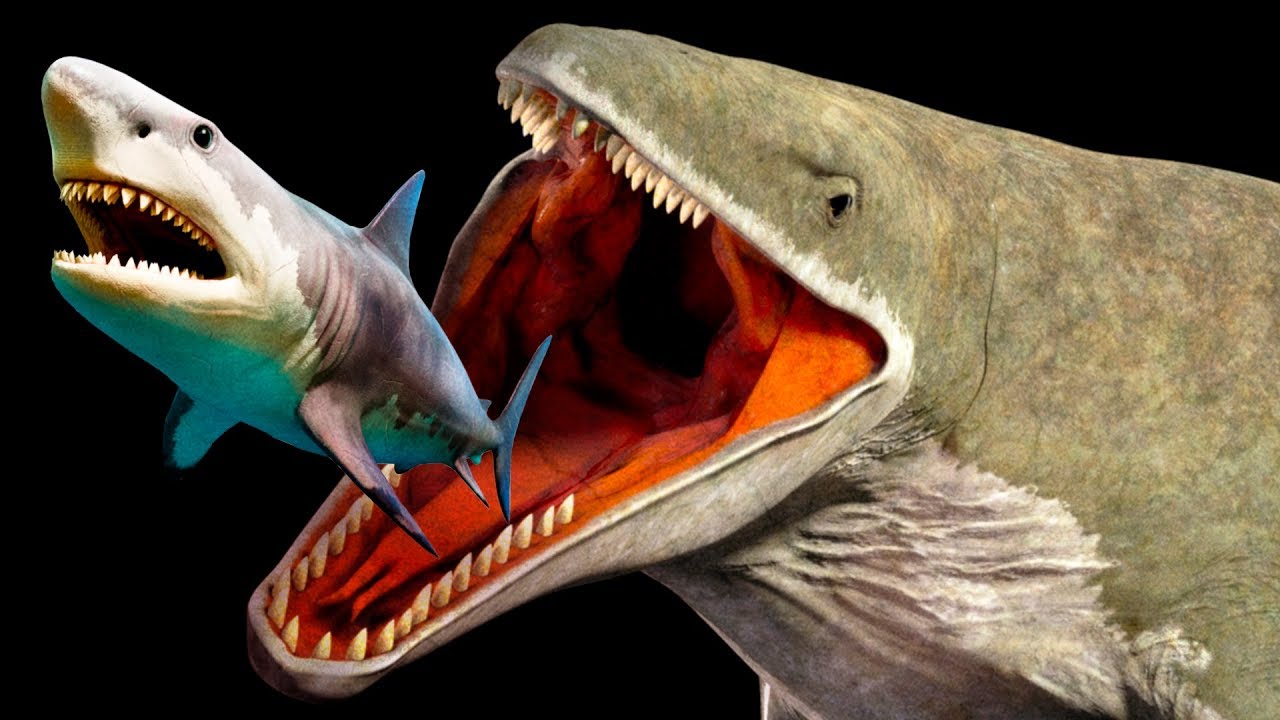 Mariana Çukurunda Yaşayan Megalodondan Çok Daha Korkunç Yaratıklar