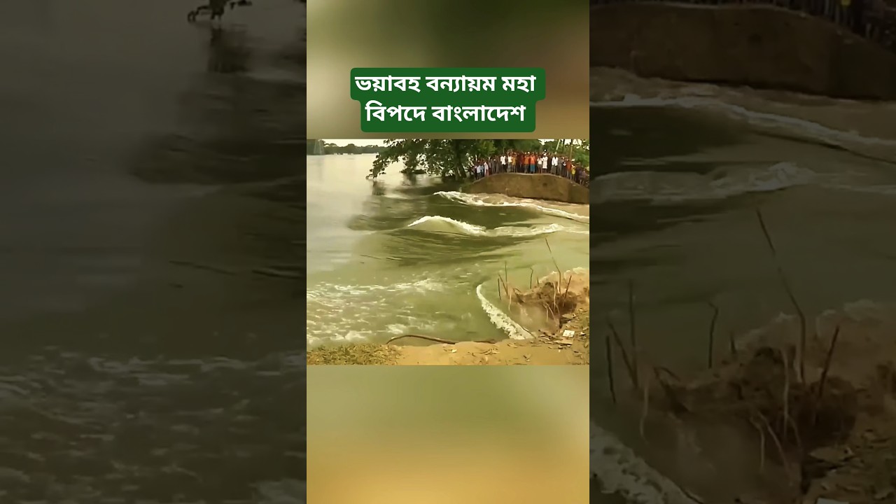 Bangladesh Flood Alert | 3 Rivers Above Danger Level | Fresh Flood Risk in 9 Districts