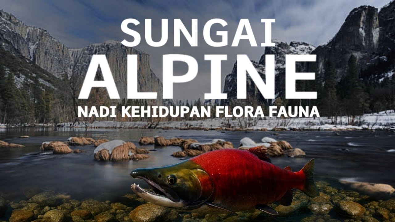 Sungai Alpine: Nadi Kehidupan Flora Fauna, Sungai Terindah di Dunia.