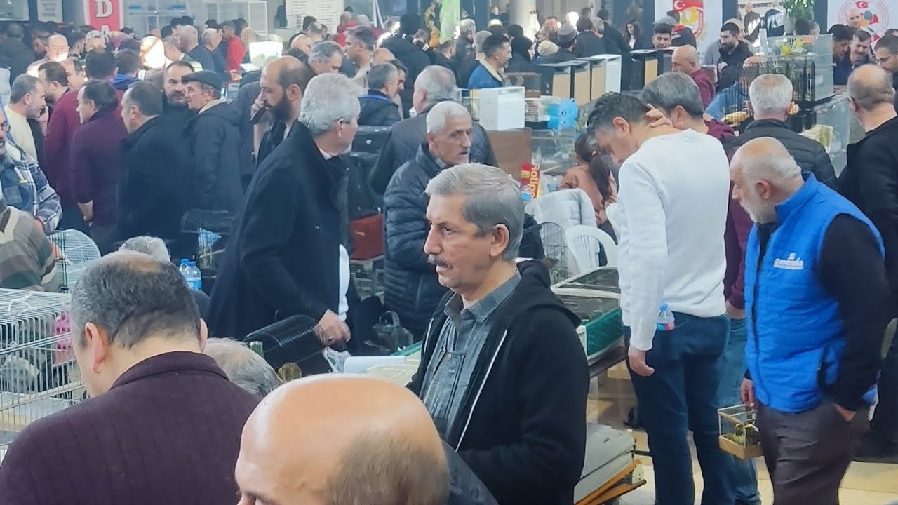 Kuş Pazarı Son Yarisma