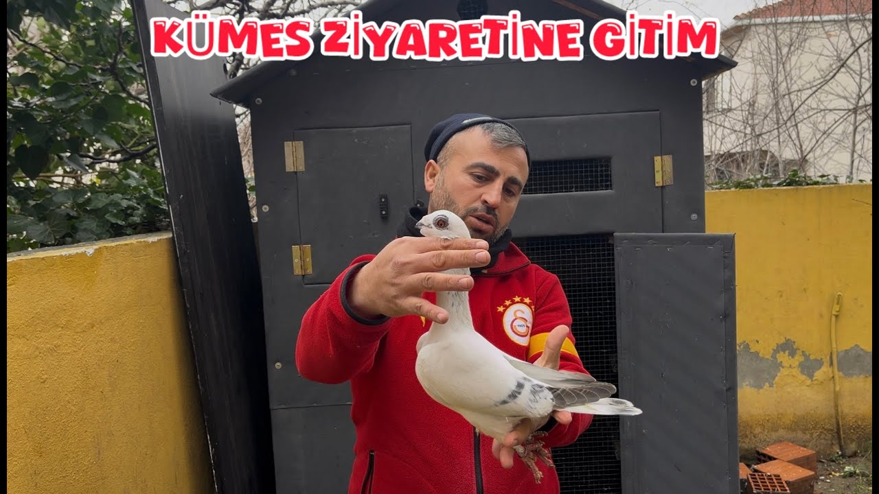 K&Uuml;MES ZİYARETİNE GİTTİM ( KA&Ccedil;AK G&Uuml;VERCİN İLE TAKAS YAPILA&Ccedil;AK KUŞLAR )