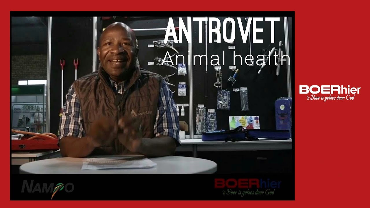 Antrovet English info at Nampo 2023