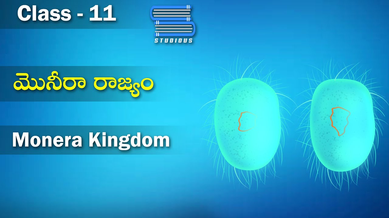జీవశాస్త్ర వర్గీకరణ | Biological Classification | Monera Kingdom | Biology Class11 | Studious Telugu