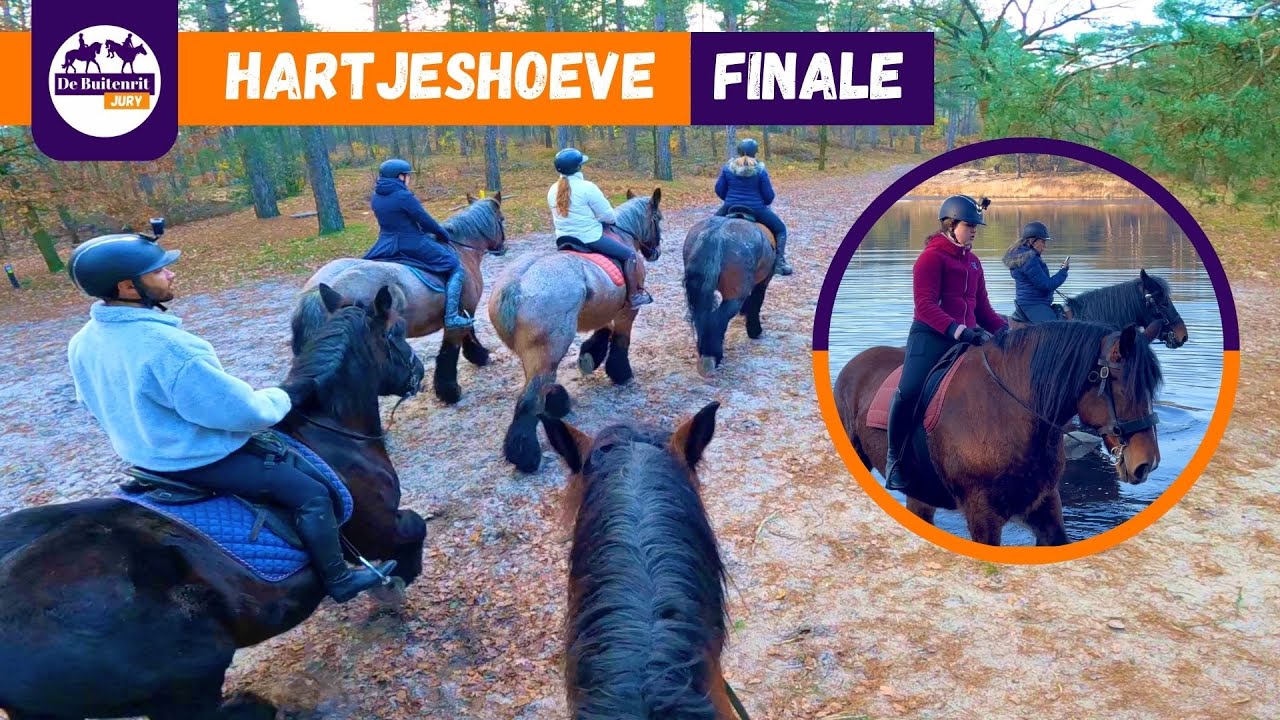 BUITENRIT OP BELGISCHE TREKPAARDEN - HARTJESHOEVE | De Buitenrit Jury Afl.8 FINALE