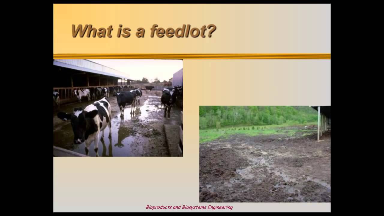 Minnesota Feedlot Annualized Runoff Model