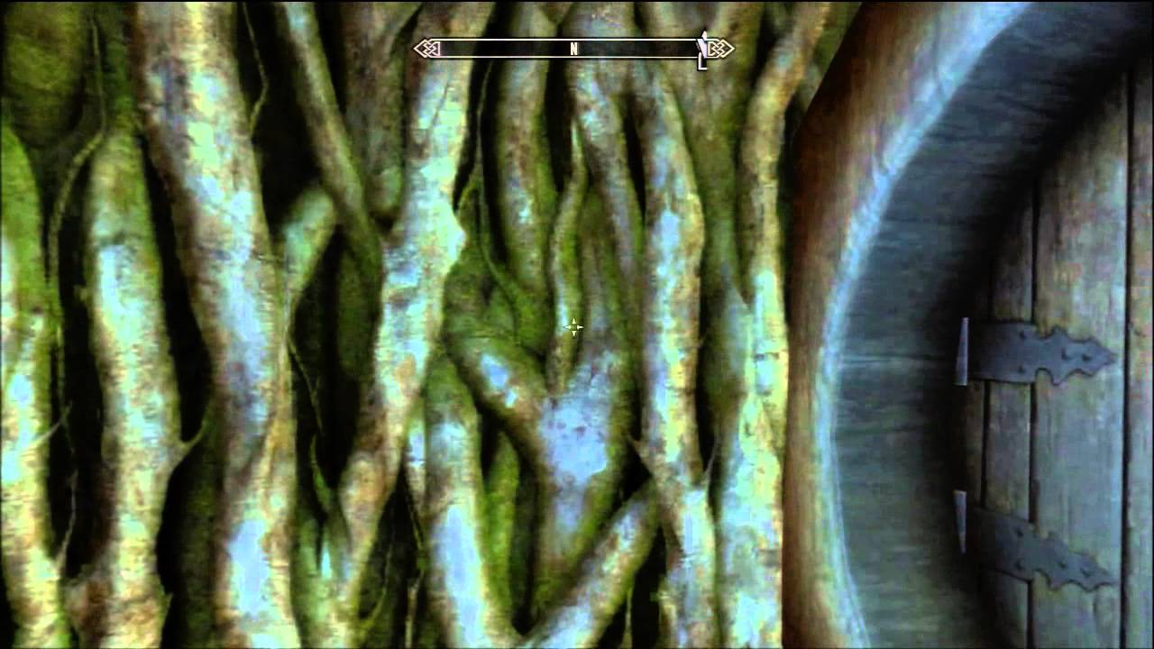 Skyrim Dragonborn #6 - Tel Mithryn, Master Neloth and Black Books