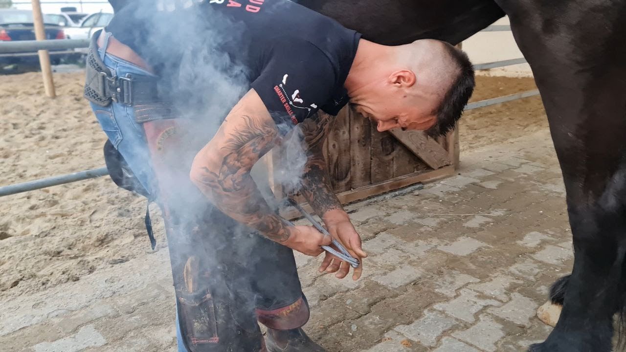 Демонстрация подковы лошадей с Сильвиу ЛУПУ - BUZAU Horse Hoof Cleaning NEW 2024