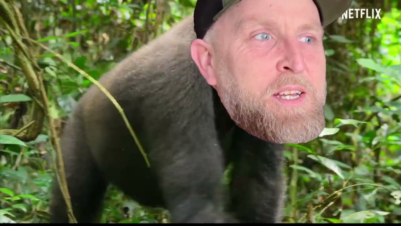 The Stoke Awakens