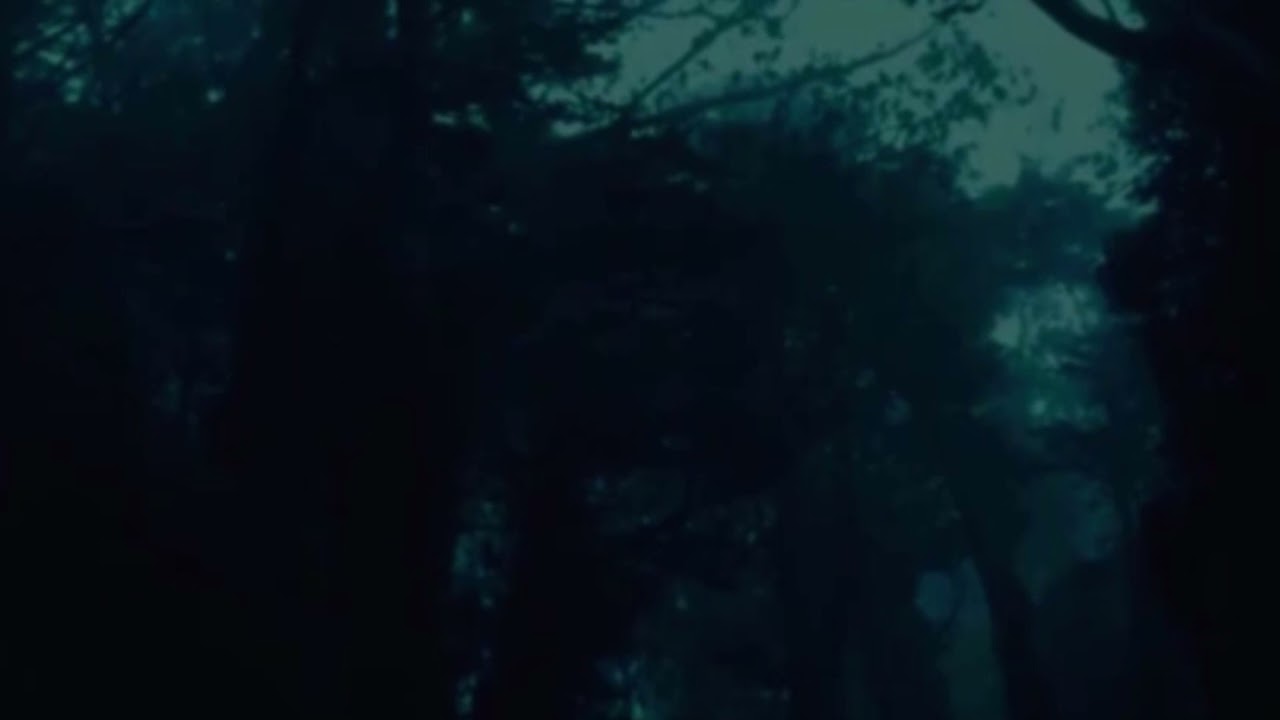Soner Sarıkabadayı-Tarifi Zor(Slowed+Reverb)🖤