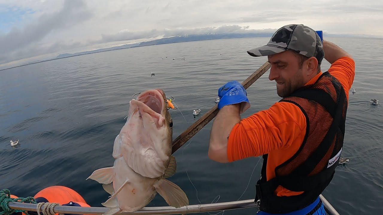 ZŁOWIŁEM PONAD DWIE TONY DORSZY W DWA DNI, SZOK!!! Cz. 1