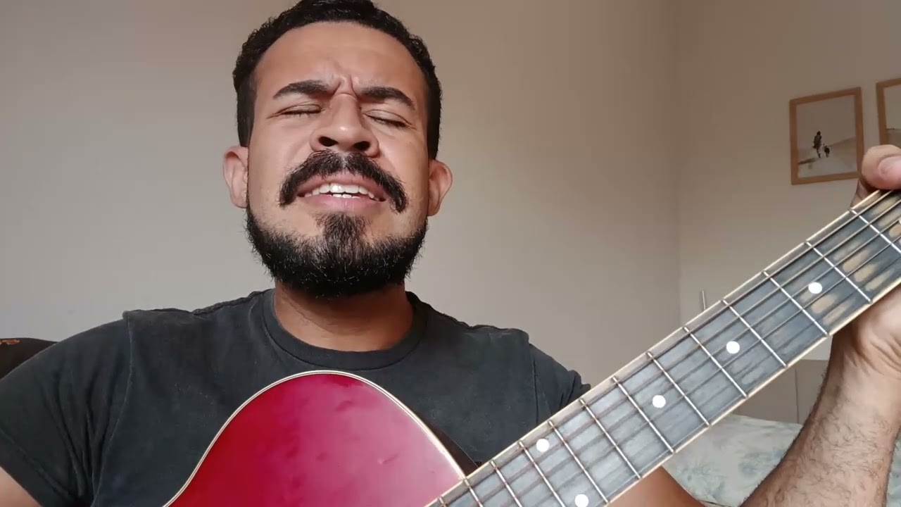 O Ipê e o Prisioneiro - Liu e Léu - Cover: Leandro Meireles