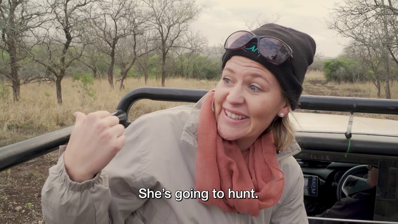 Cheetah On The Move S10 EP19