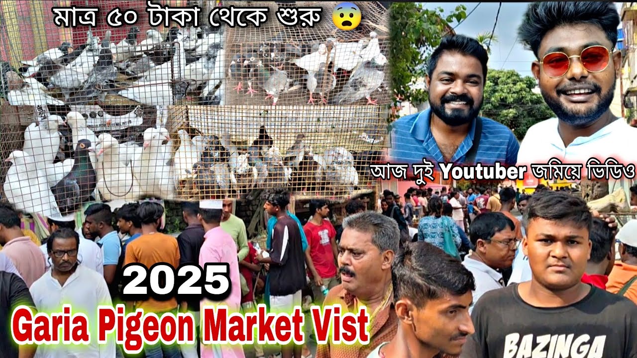 Kolkata Biggest Pigeon Market Visit || Wholesale Garia Pigeon Market Visit @Titospigeon