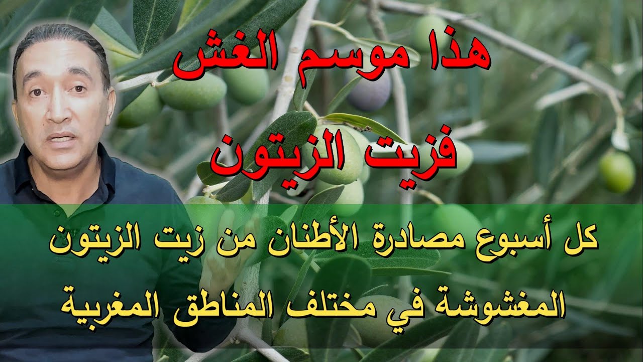 هذا موسم الغش فزيت الزيتون ها الأساليب المعتمدة و ها سبل الوقاية