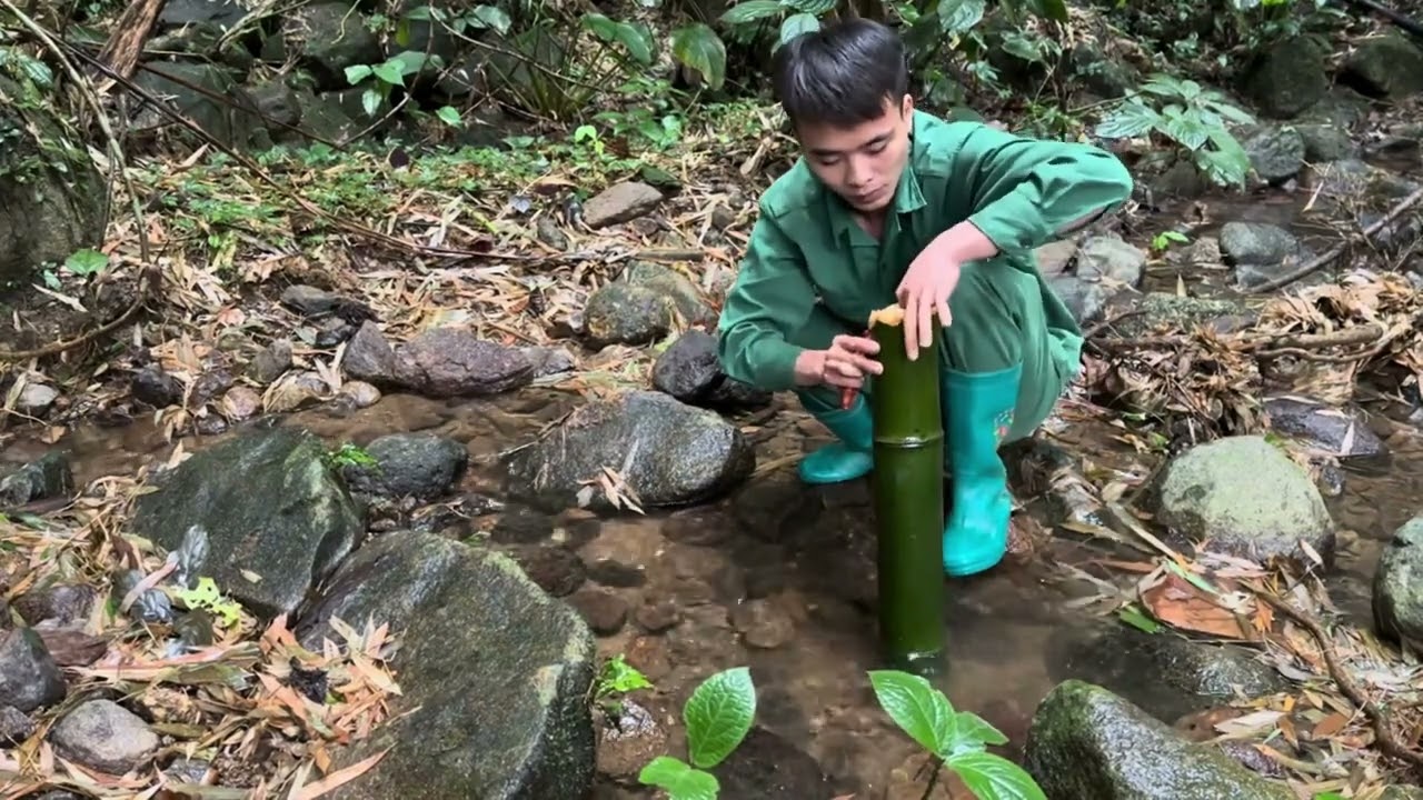 Full video 365 days of survival in the forest. Find food in the rainforest.