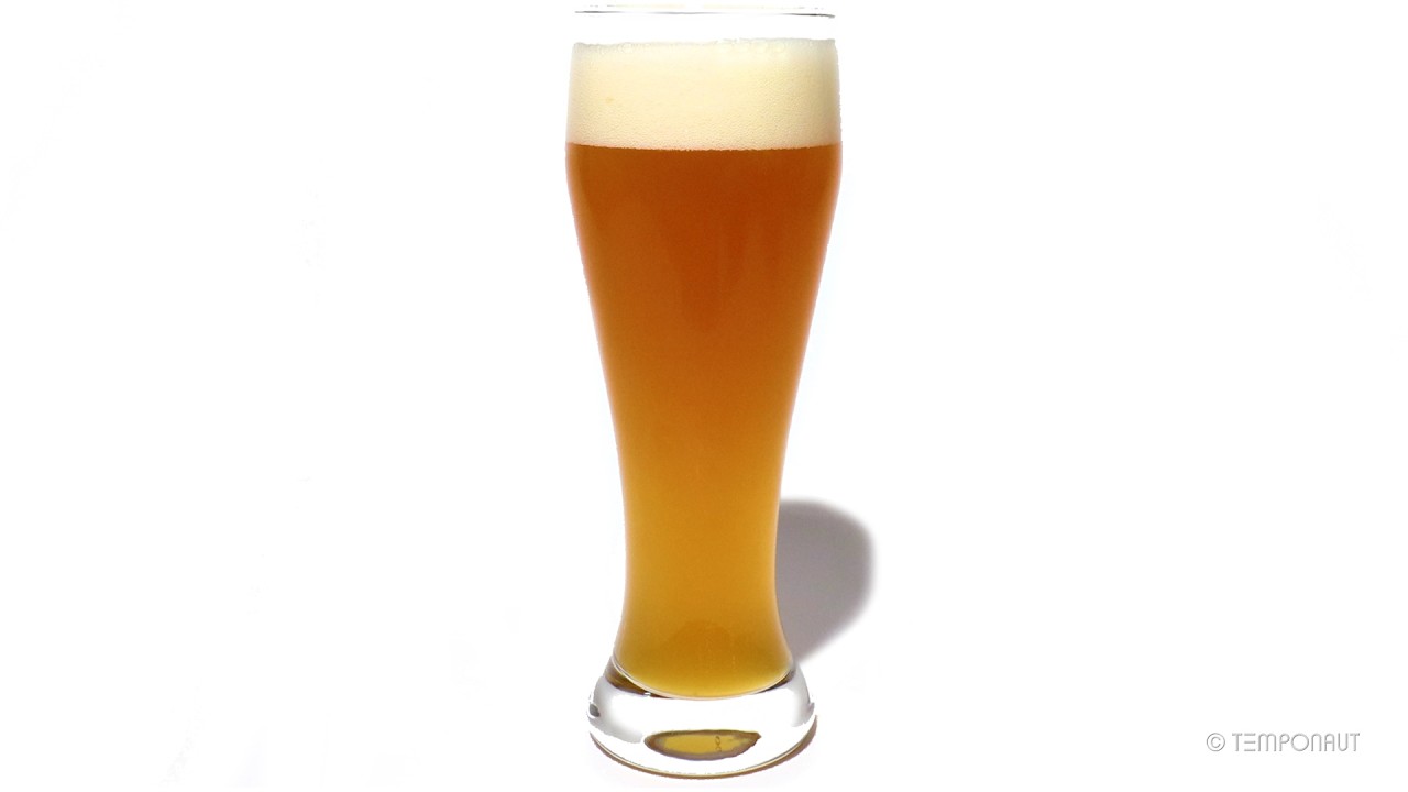 Molding Wheat Beer Timelapse