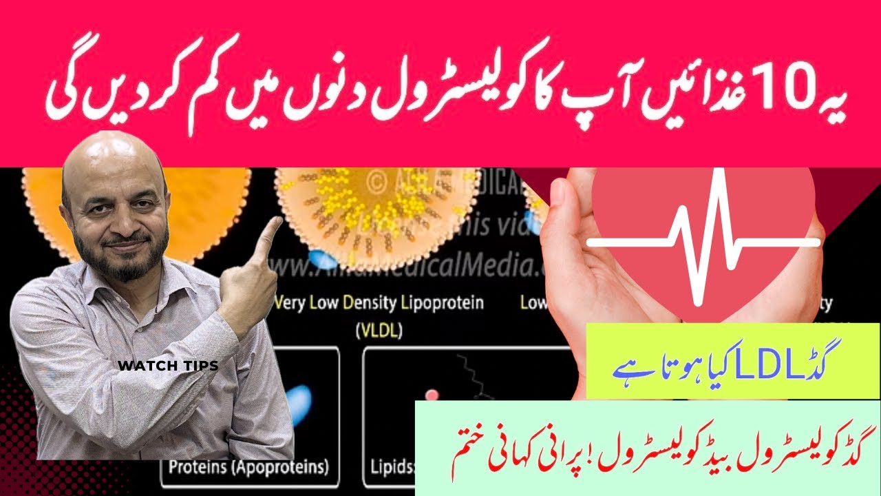 Bad LDL  vs Good  LDL | Is LDL Really Bad? How to Lower Cholesterol Naturally