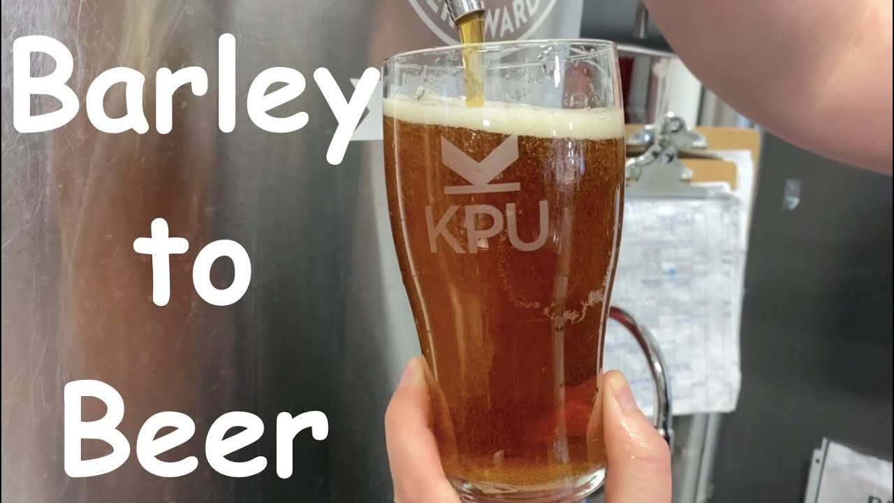 Barley to Beer: Fast-Tracked Malting and Brewing Process in Just 110 Seconds