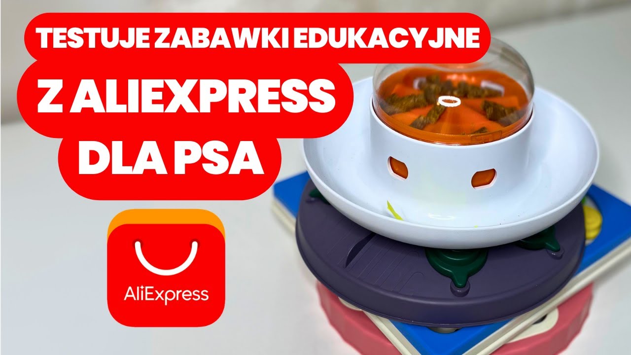 TESTUJE ZABAWKI EDUKACYJNE DLA PSÓW Z ALIEXPRESS - ILE WYTRZYMAŁY? | PAULINA I PSY