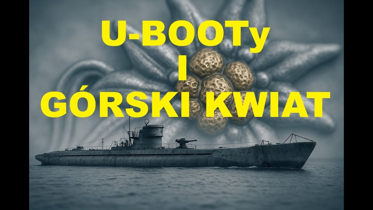 U-booty i g&oacute;rski kwiatek [szarotka alpejska]