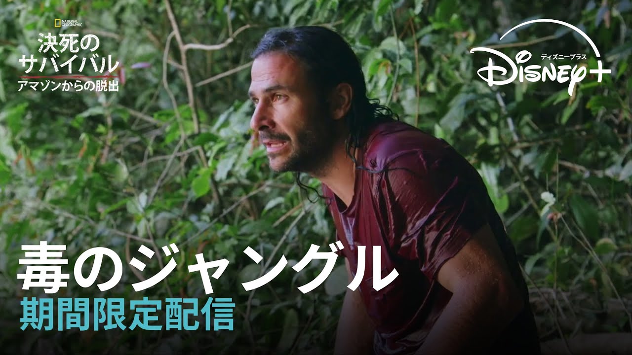 【期間限定フル公開】ナショナル ジオグラフィック 『決死のサバイバル：アマゾンからの脱出』「毒のジャングル」(声：黒田 崇矢)｜Disney+ (ディズニープラス）