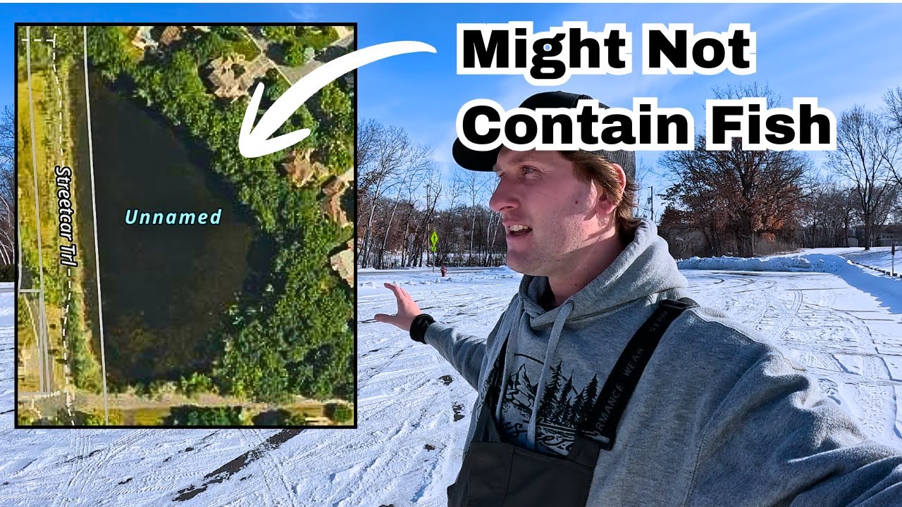 Will We Find Fish in this TINY Neighborhood Pond?