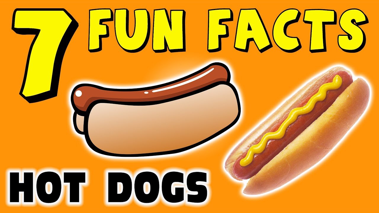 7 FUN FACTS ABOUT HOT DOGS! FACTS FOR KIDS! Hot Dog! BBQ FUN! Learning Colors! Funny! Sock Puppet!