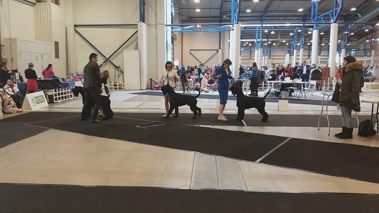 20180302 144438