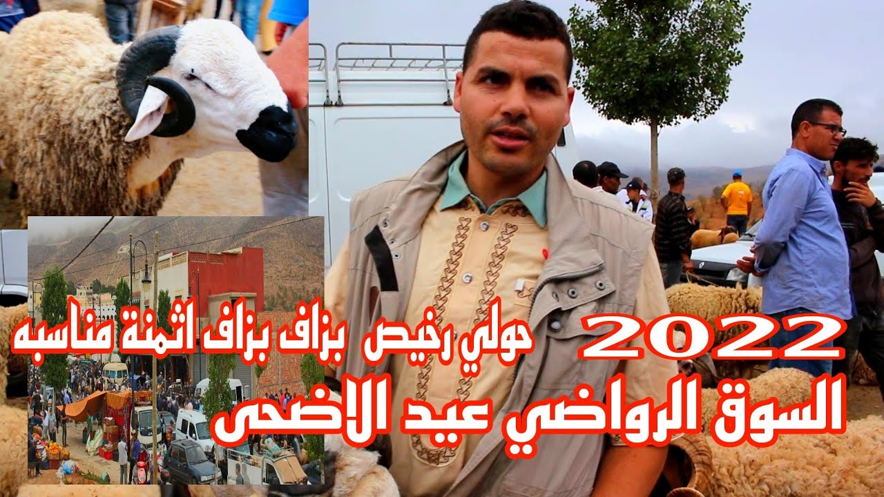 السوق الأحد  إبقوين الرواضي اثمنة حولي  جدا مناسبه الحسيمة